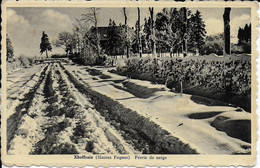 Delcampe - 648-Xhoffraix-Auberge De La Jeunesse (MALMEDY° - Malmedy