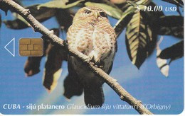 101 TARJETA DE CUBA DEL SIJU PLATANERO (BUHO-OWL) - Owls