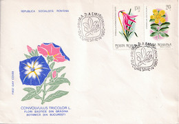 A2660- Convolvulus Tricolor L., Flori Exotice, Republica Socialista Romania, Bucuresti 1980 3 Covers FDC - Otros & Sin Clasificación