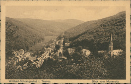 DE SCHLANGENBAD /  Blick Vom Musensitz / - Schlangenbad