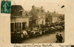 Loué * Carte Photo * Le Comice Agricole * Café GIRARD & Café COUDREUSE * Bestiaux * Photographe Demelle - Loue