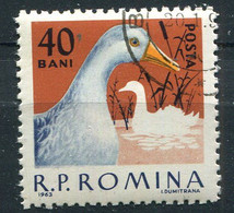 (CL 14 - P.49) Roumanie Ob N° 1910 - Animaux De Basse-cour : Les Canards - Farm