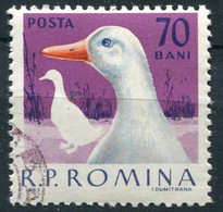 (CL 14 - P.49) Roumanie Ob N° 1912 - Animaux De Basse-cour : Les Canards - - Farm