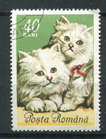 (CL 14 - P.49) Roumanie Ob N° 2112 - Chats Persan Blancs - Altri & Non Classificati