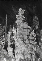 L'Aven Armand - Stalagmite Monumentale Au Bord Du Gouffre, Surmontée Par Le Canard - Sonstige & Ohne Zuordnung