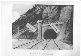 Ligne Frasne-Vallorbe -Souterrain Du Mont D'Or ( Tête Coté Suixxe )  Reproduction - Orbe