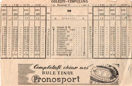 A2585 - BULETINUL PRONOSPORT GOLESTI - CAMPULUNG ROMANIA CASTEL BRAN VINTAGE LOTTERY TICKET - Billets De Loterie