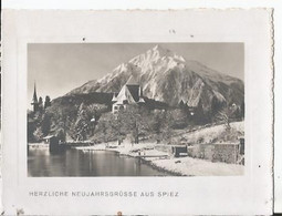 Photo - Herzliche Neujahrsgrusse Aus Spiez - Canton De Berne - Bern - Bonne Année - Non Classificati