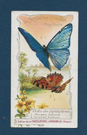 Chromo Aiguebelle 11,5 X 6.5 - Le Monde Des Insectes - Papillons - Aiguebelle