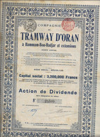 COMPAGNIE DU TRAMWAY D'ORAN A AMMAM-BOU - HADJAR ET EXTENSIONS -ACTION DE DIVIDENDE- ANNEE 1946 - Bahnwesen & Tramways