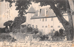 Château D'Allaman Avec Un Enfant - Allaman