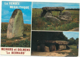 Vendée 85- Le Bernard, Dolmens Et Menhir - Dolmen & Menhirs