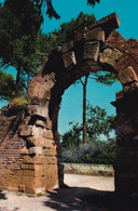 Fano - Porta Romana - Formato Grande Non Viaggiata – FE190 - Fano