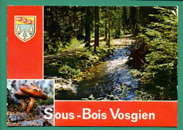 88 Sous Bois Vosgien ( Multivues, Champignons, Funghi, Mushrooms, Pilze, Hongos, Grzyby, Svamp ) - Hongos