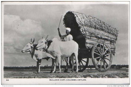 CPA  BULLOCK CART COLOMBO CEYLON SRI LANKA SS ORION MESSAGE MORE CEYLON SRI LANKA  LISTED @ 1 EURO OR LESS - Sri Lanka (Ceylon)