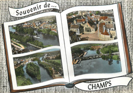 / CPSM FRANCE 89 "Champs" - Champs Sur Yonne
