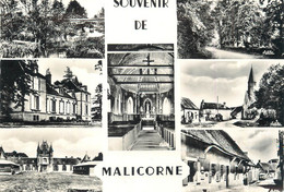 / CPSM FRANCE 89 "Souvenir De Malicorne" - Altri Comuni