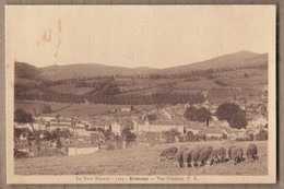 CPA 81 - BRASSAC - Vue Générale - TB PLAN D'ensemble Du Village - TB TROUPEAU MOUTONS 1er Plan - Brassac