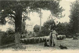 Falaise * Le Vieux Berger Du Mont Joly * Métier Ermite ? - Falaise