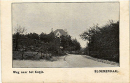 BLOEMENDAAL Weg Naar Het Kopje NETHERLANDS (603312) - Bloemendaal