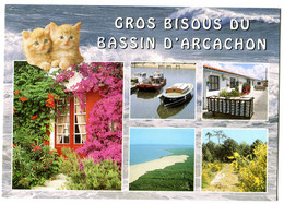 CPM 33 Bisous D' ARCACHON - Chats - Arcachon