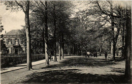 CPA AK ZUTPHEN Coehoornsingel NETHERLANDS (603020) - Zutphen