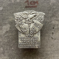 Badge ZN010167 Gymnastics Sokol Czechoslovakia Zupa Krkonosska Krystof Harant Of Polzice & Bezdruzice Zelezny Brod 1913 - Gymnastique