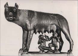 Italien - Rom - Roma - Musei Capitolini - Lupa Capitolina - Ca. 1960 - Andere