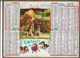 ALMANACH  PTT  1973  -  CHIENS  ,  Au  Dos  CARTE  GEOGRAPHIQUE  De  L ' EUROPE - Formato Grande : 1961-70