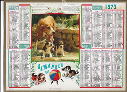 ALMANACH  PTT  1973  -  CHIENS  ,  Au  Dos  CARTE  GEOGRAPHIQUE  De  L ' EUROPE - Big : 1961-70