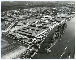 Poissy ( Seine- Et Oise ) Les Usines Simca Automobiles. - Automobile