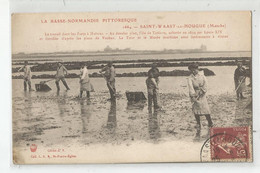 50 Manche St Saint Waast La Hougue Le Travail Dans Le Parc A Huitres Métier , L'ile De Tatihou Au Loin 1926 - Saint Vaast La Hougue