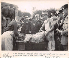 Photographie    Le Boucher Découpe Un Bœuf Pour Le Cantonnement Devant Ses Camarades (voir Scan Et Commentaires) - Métiers