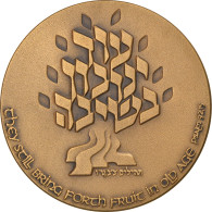 Israel, Médaille, Isaiah, Religions & Beliefs, SPL, Bronze - Other & Unclassified