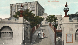 NORWICH CASTLE - Norwich