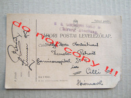 Tábori Postai Levelezőlap ( 1917 ) / Traveled From ?? To Cilli Steinmark, Garnisonsspital No. 9 - WW1