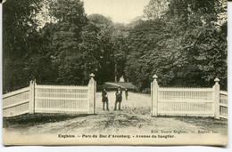 CPA - Carte Postale - Belgique - Enghien - Parc Du Duc D'Arenberg - Avenue Du Sanglier - 1905 (AT16561) - Enghien - Edingen