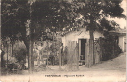 FR66 PERPIGNAN - Pépinière ROBIN - établissement D'Horticulture - Animée - Perpignan