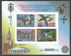 EC244 !!! IMPERFORATE 1997 RUSSIA FAUNA BIRDS DUCKS 1KB MNH - Entenvögel