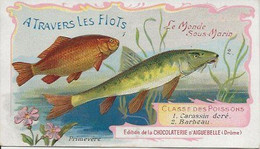 Chromo Aiguebelle 11,5 X 6.5 Le Monde Sous-marin - A Travers Les Flots - Aiguebelle