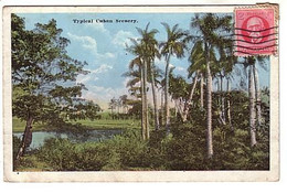Cuba - Typical Cuban Scenery - Circulé1925 - Cuba