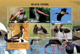 Gambia 2019 Fauna Black Stork ,bird  I201901 - Gambia (1965-...)