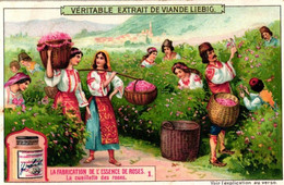 6 Cartes Chromo Fabrication De L'Essence De Roses 1908  2CP Cueilette Des Fleurs De Jasmin Parfumerie Bruno Court Grasse - Antiguas (hasta 1960)