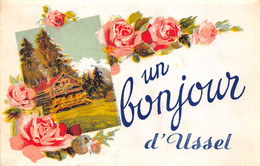 19-USSEL-UN BONJOUR D'USSEL - Ussel