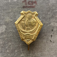 Badge Pin ZN010196 - Gymnastics Sokol Czechoslovakia Ostrava 1922 - Gymnastique