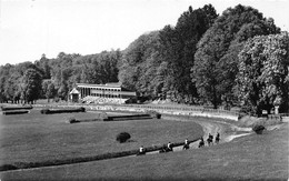 19-POMPADOUR- LE CHAMP DE COURSES ( CHEVAUX A L'ENTRAINEMENT ) - Sonstige & Ohne Zuordnung