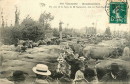 Roumazières * Un Coin De La Foire Du 19 Septembre , Dite Du Pont Sigoulan * Foire Aux Bestiaux Marché Boeufs - Sonstige & Ohne Zuordnung