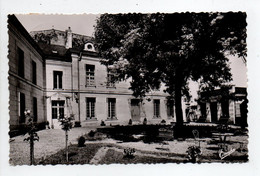 - CPSM SAINT-MARTIN DE LA PLACE (49) - Domaine De La Blairie 1954 - Photo CHRETIEN - - Sonstige & Ohne Zuordnung