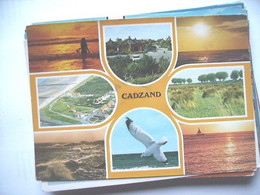 Nederland Holland Pays Bas Cadzand Bad En Mooie Natuur - Cadzand