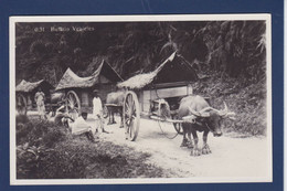 CPA JAVA Indonésie Non Circulé Dutch East Indies Inde Métier Attelage Carte Photo - Indonésie